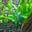 Rob Herrington's avatar