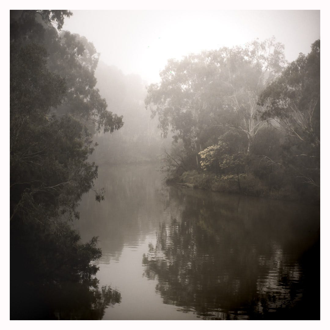 Black and white image of Yarra River on foggy morning - The Yarra River