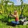 Must | The sustainable wine newsletter