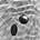 dissipative’s Substack
