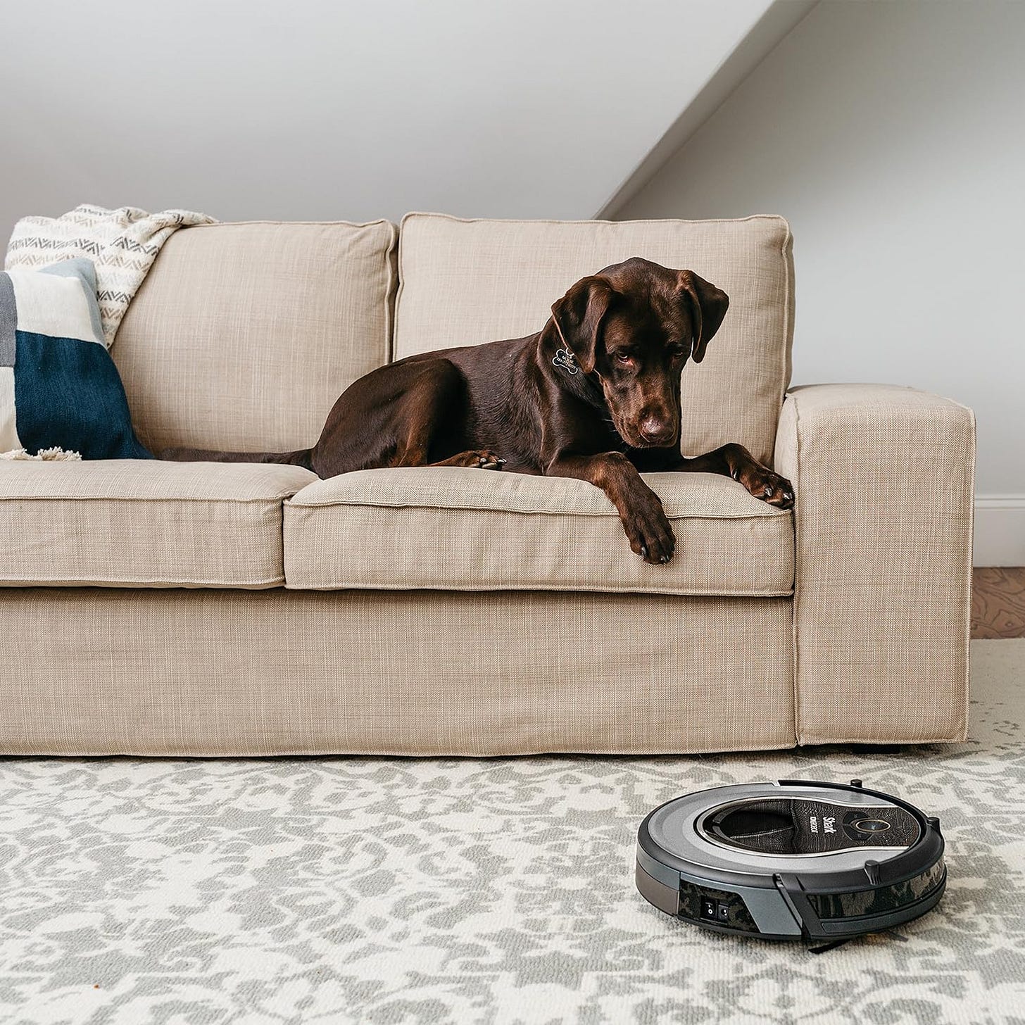 Shark AV2001 AI Robot Vacuum with Self-Cleaning Brushroll, Object Detection, Advanced Navigation, Home Mapping, Perfect for Pet Hair, Compatible with Alexa, Gray