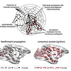 (Trying to) Measuring consciousness in the lab