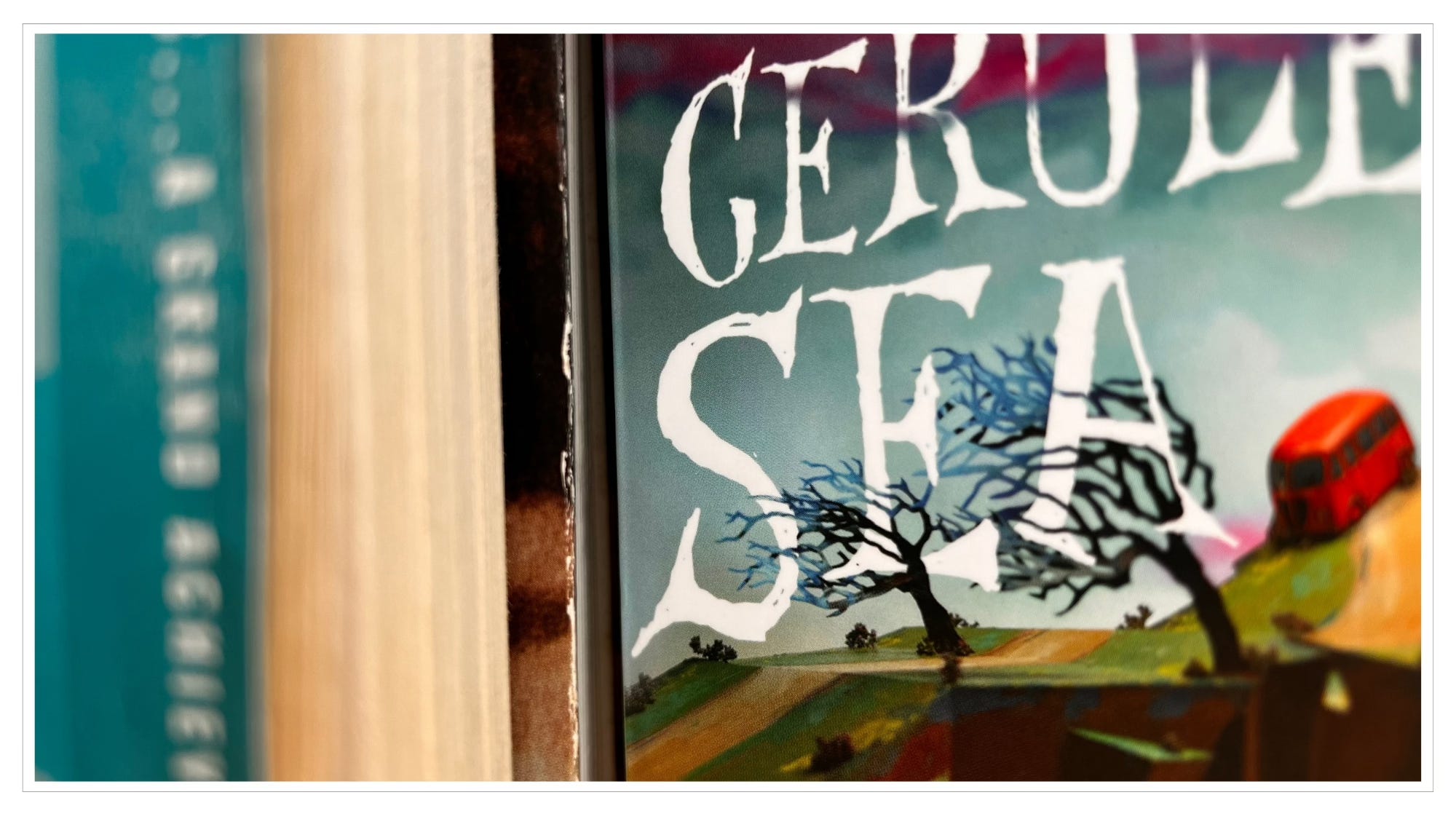 close-up of book jacket entitled cerulean sea