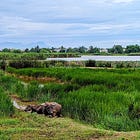 2025 Sleep Well Portfolio Review - 70% win-rate, Underperformance from September 2025