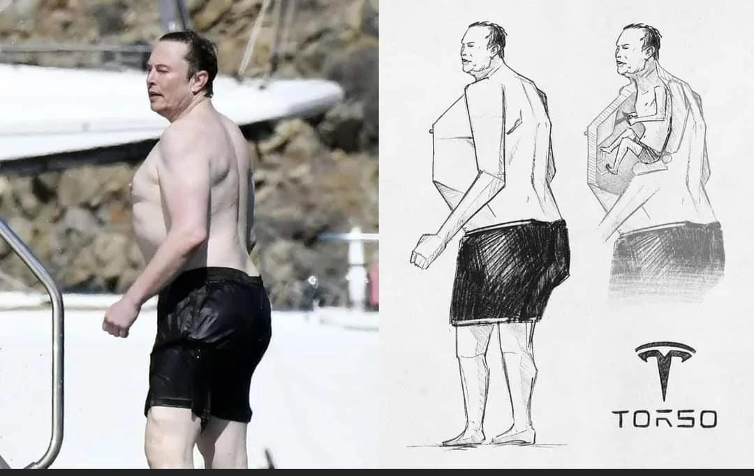 Alien invasion incoming : r/oddlyterrifying