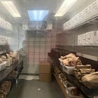 Pro-Life Groups Discover Freezer of Human Fetuses at the University of Washington 