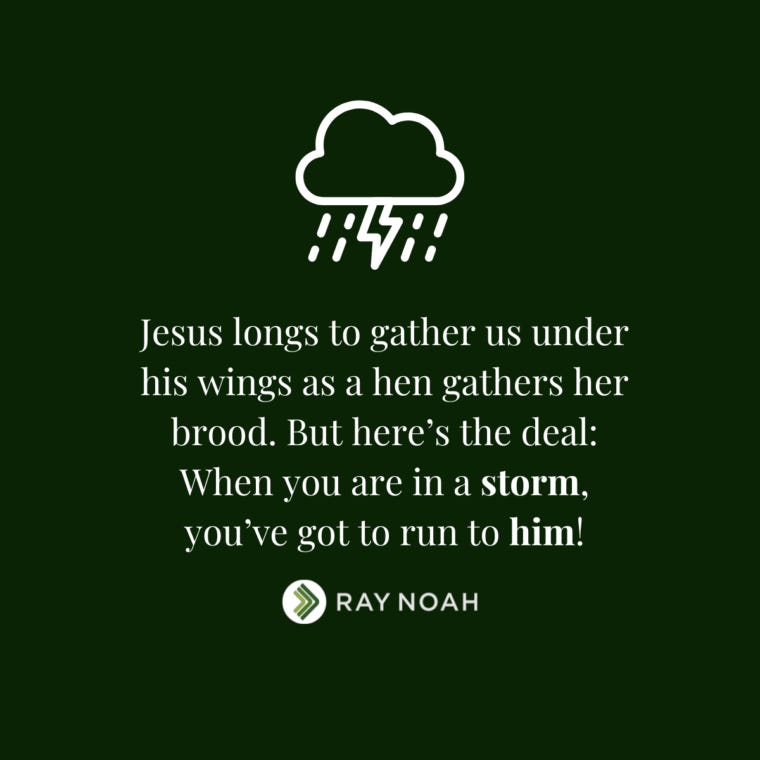 Shelter - Ray Noah Blog