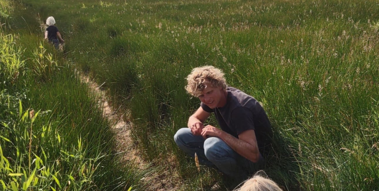 Ecologist Proves Grazing on Point Reyes Is Crucial to Biodiversity & Native Plants