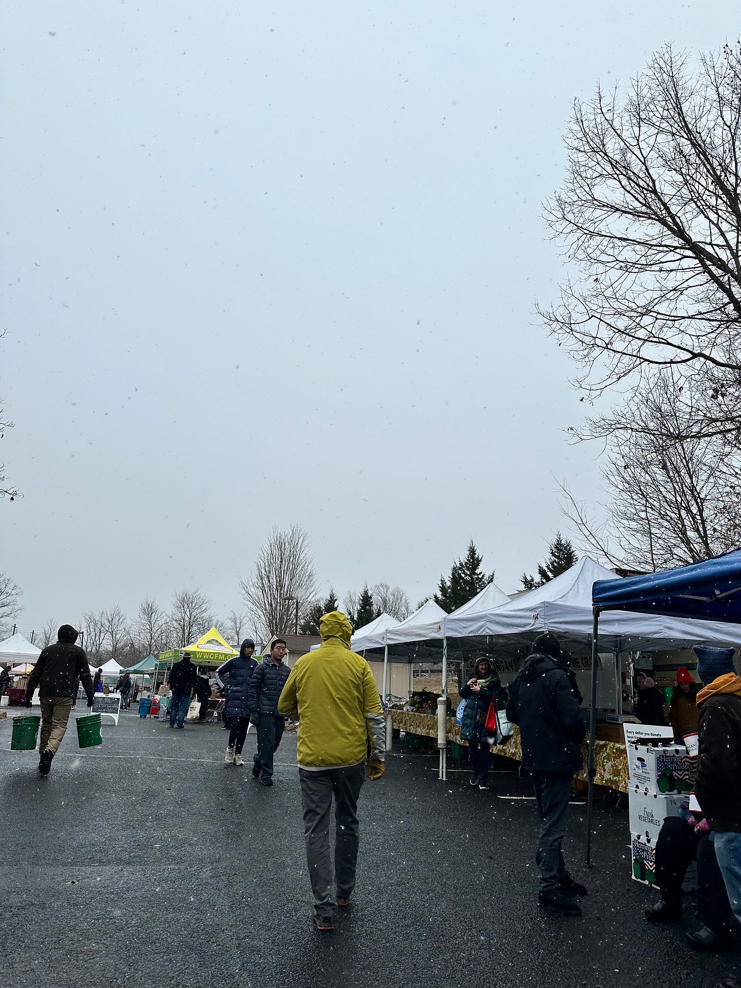 snow falls steadily as people shop at a farmers' market