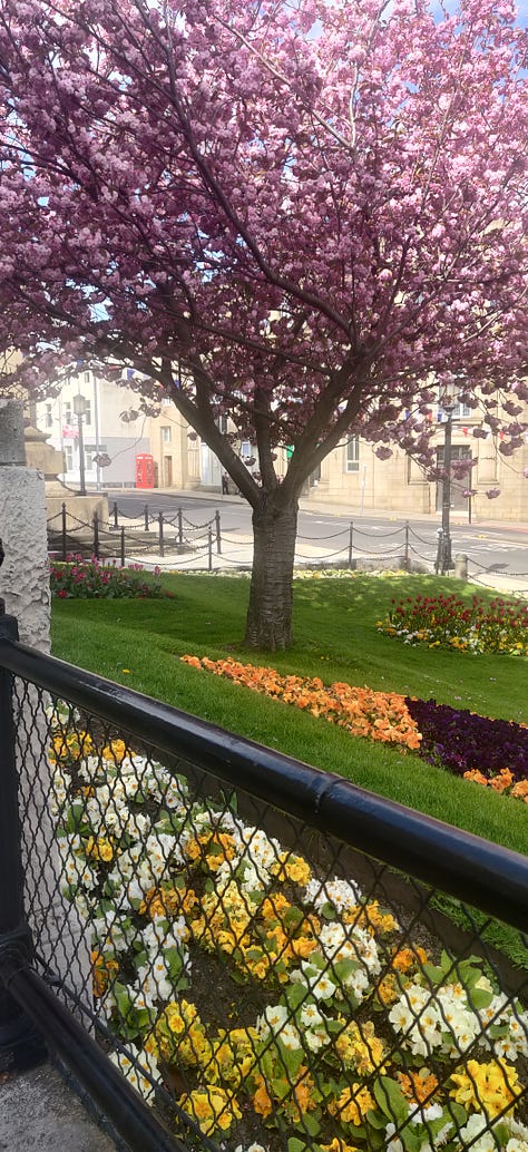 Picture of Jack stood in front of a sign saying Welcome to Huddersfield Town, picture of Barnsley's town hall, cherry blossom tree in Barnsley