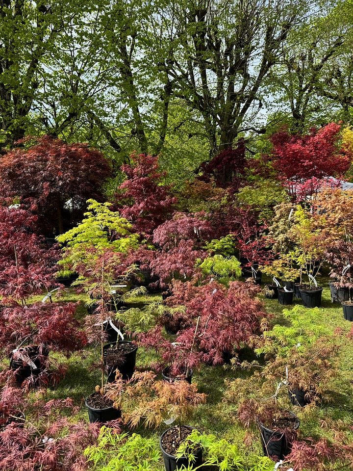 French plant fair