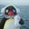 alexaa  ྀིྀི's avatar
