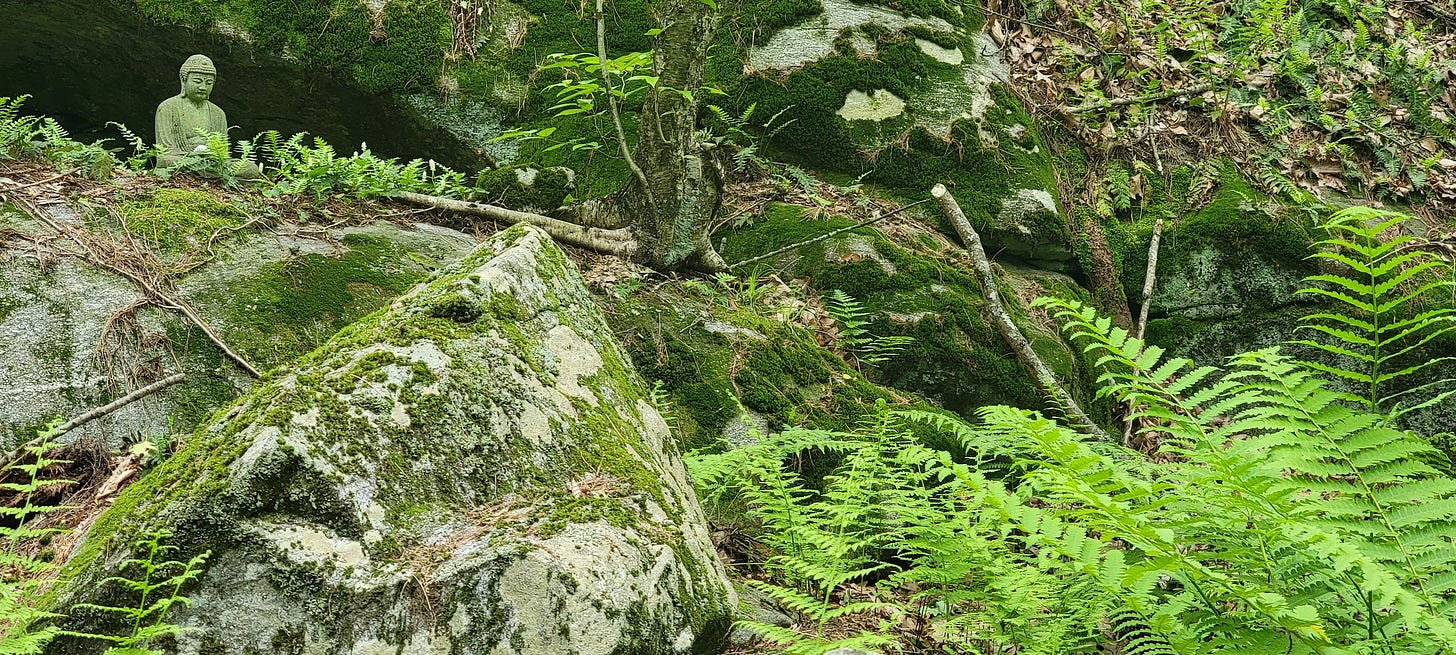 A small stone buddha sits on a mossy rock overlooking larger ferns growing below.
