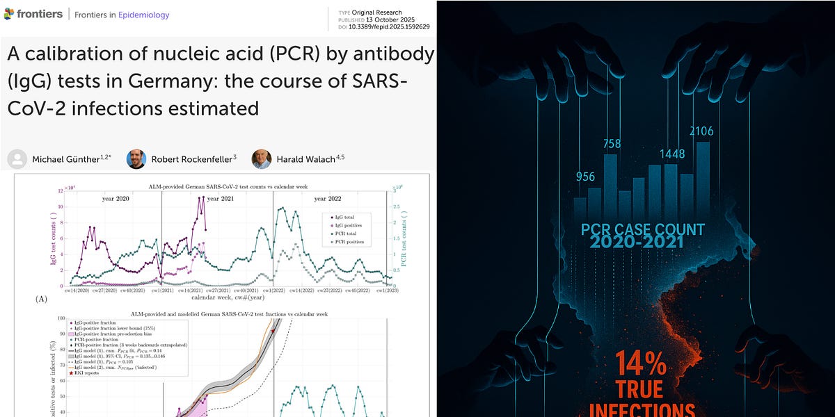 BREAKING: 86% of PCR-Positive “COVID Cases” Were Not Real Infections