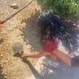 Mysha Shangari's avatar