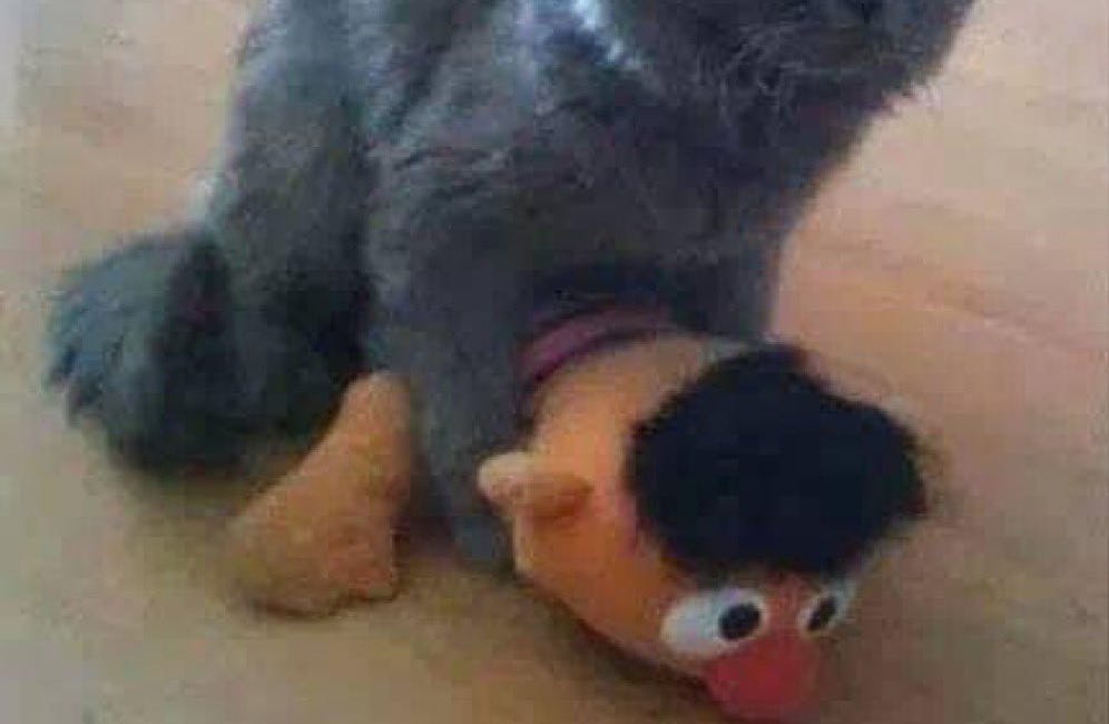 Guess what day it is Ernie! Guess! Oh Ernie, where are you? Don't go hiding again because I can see you! This one by SimulationCommander is excellent, I enjoyed! 'The power of voluntary transactions'