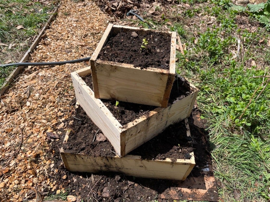 Stacked and Raised DIY Strawberry Planter