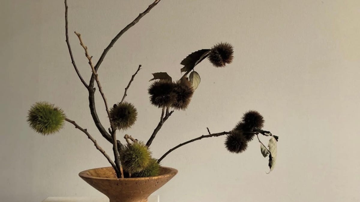 The Quiet Beauty of Ikebana - Devon Liedtke