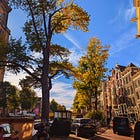 You were never built for scale