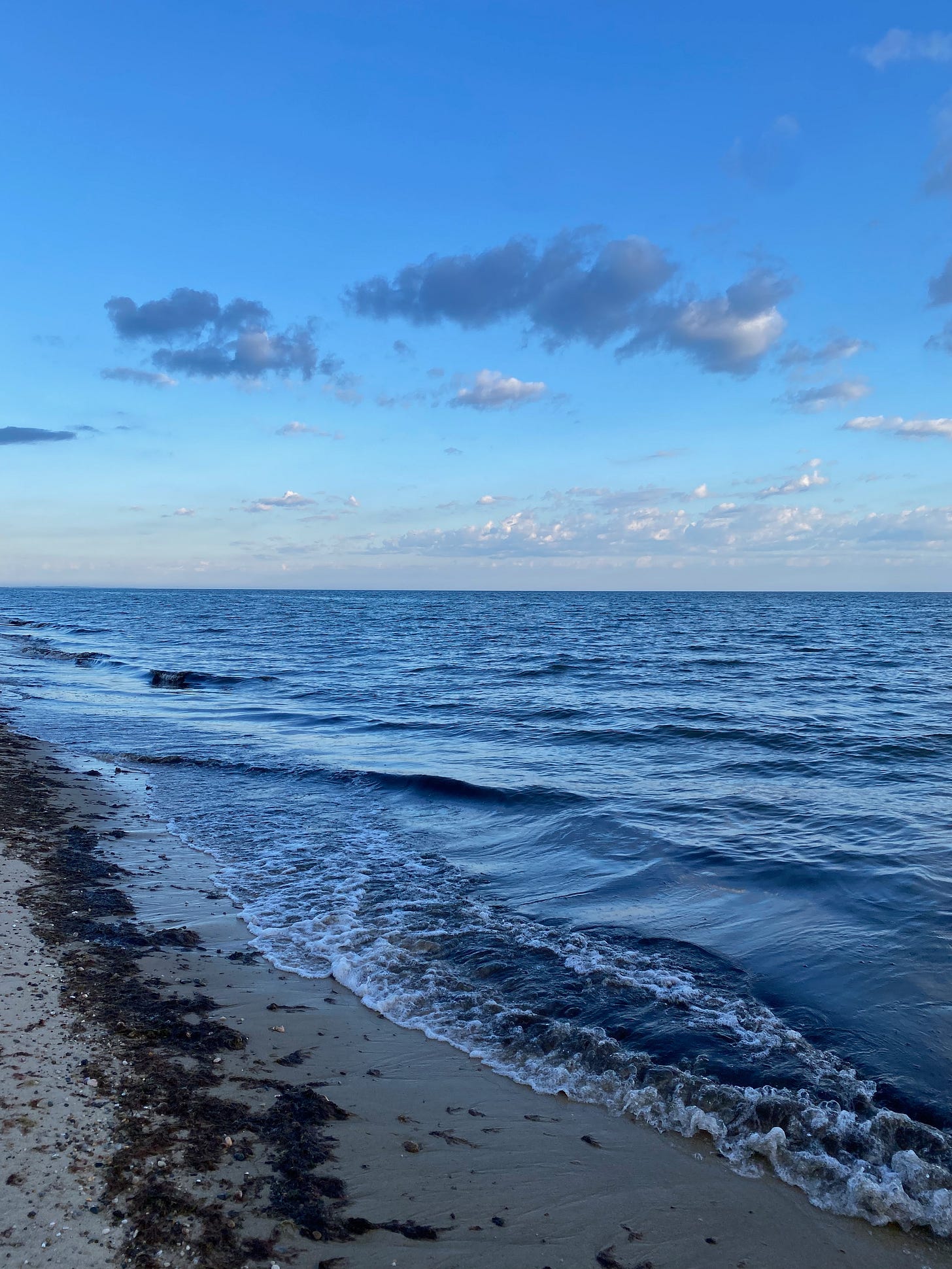 View of the ocean on a bright, clear morning just after sunset. There’s a line of seaweed on the beach and purple clouds in the sharp blue sky.