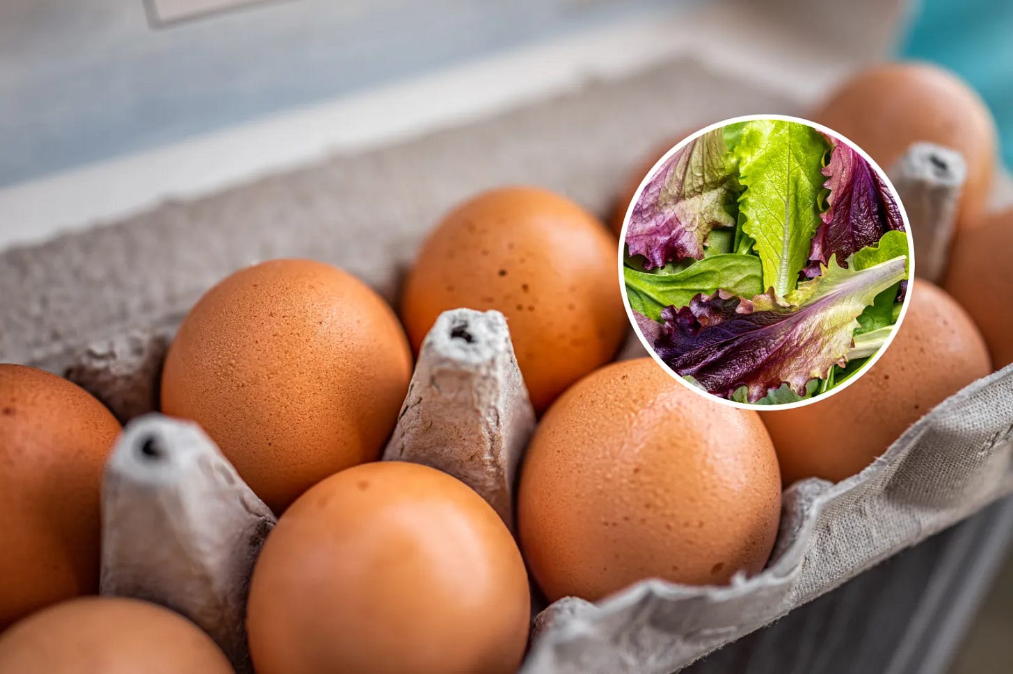 Cyclospora, Salmonella: How to Tell Symptoms Apart - Newsweek
