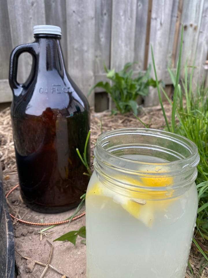 structured water with diatomaceous earth