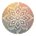 Amy Bachhuber's avatar
