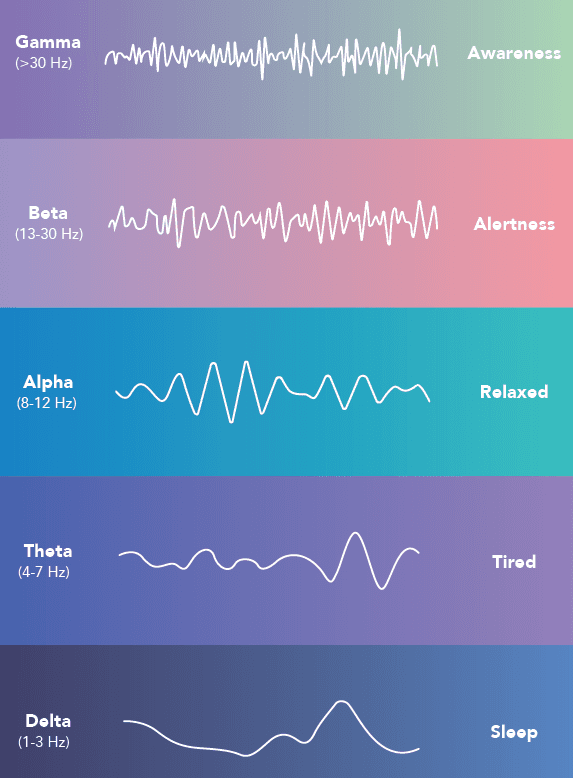 What Are Brain Waves and How Does Our Brain Work?