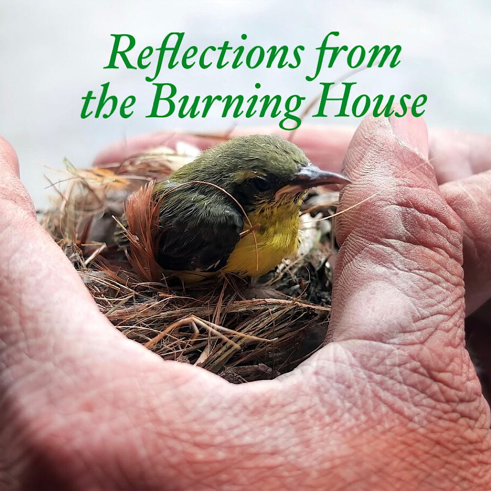 Reflections from the Burning House