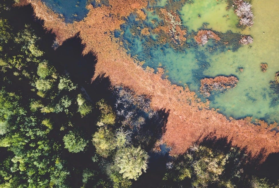 aerial photo of body of water aerial photo of body of water