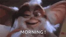 Crazy Gremlin GIFs | Tenor