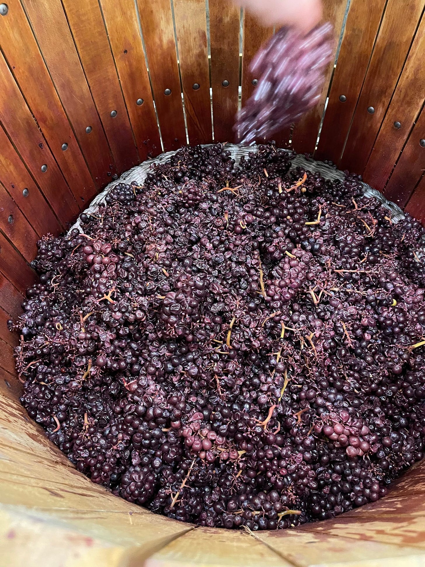 Baie-par-Baie: From Maceration to the Press