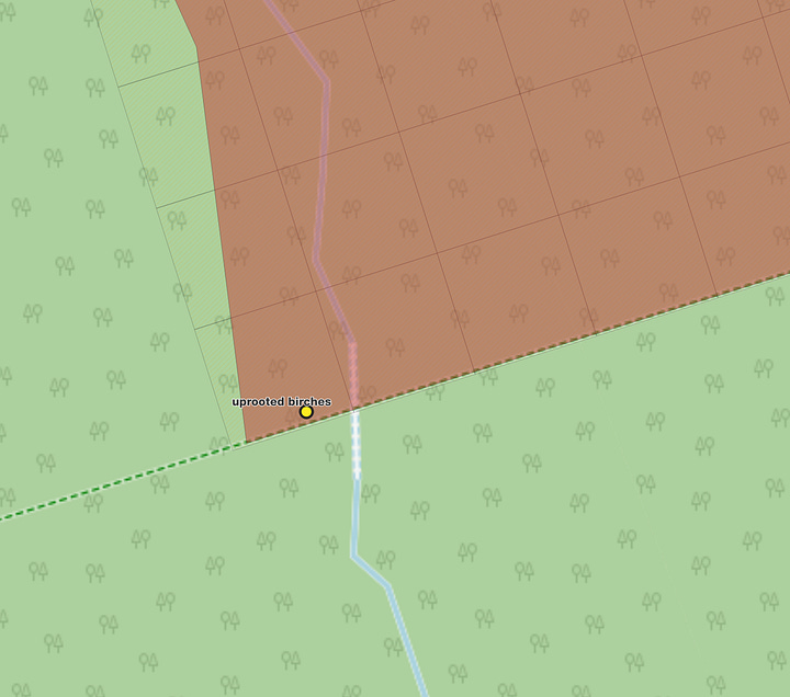 Hazard birch trees over a private woodland path