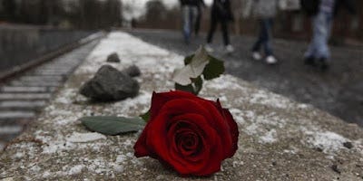 Holocaust Remembrance