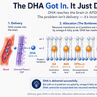 The DHA Didn’t Miss the Brain — It Wasn’t Incorporated