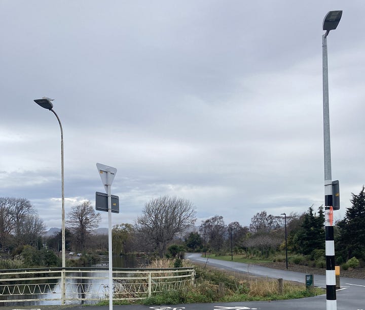 Left, a wide sealed path beside a river under a grey sky. Right: a woman planting a tree beside a road and a river.