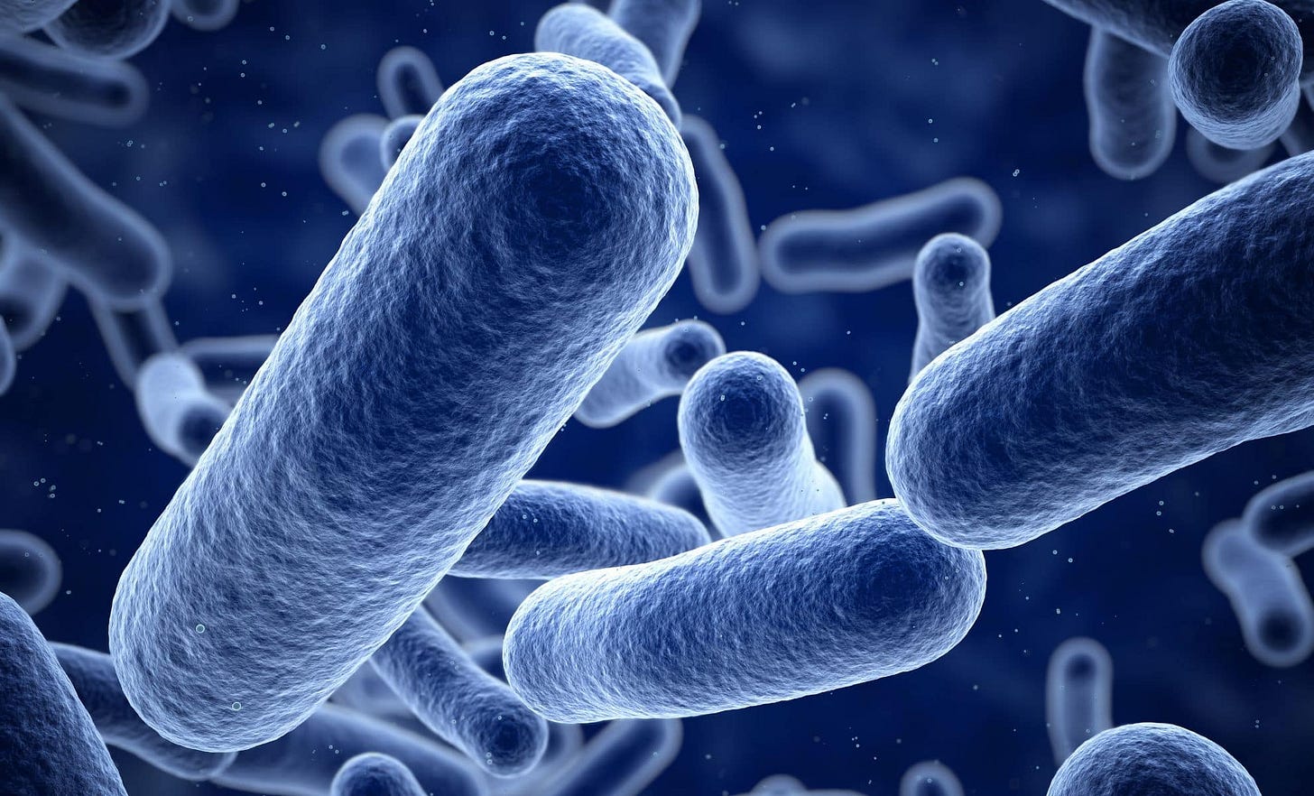 Scientists Find Mega Bacterium You Don't Need a Microscope to Spot Scientists Find Mega Bacterium You Don't Need a Microscope to Spot