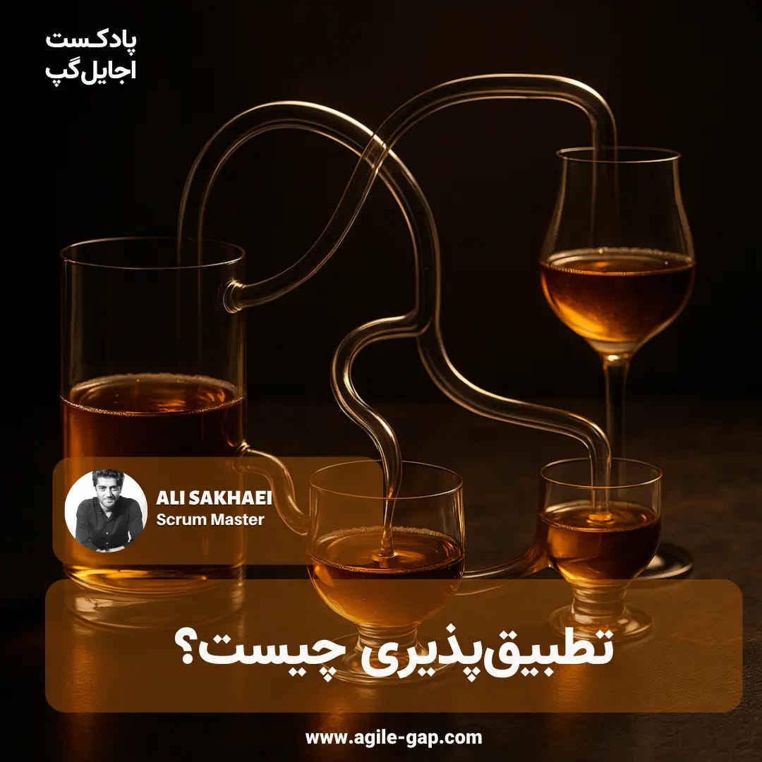 تطبیق پذیری چیست با علی سخایی در پادکست اجایل گپ