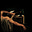 doomed image's avatar