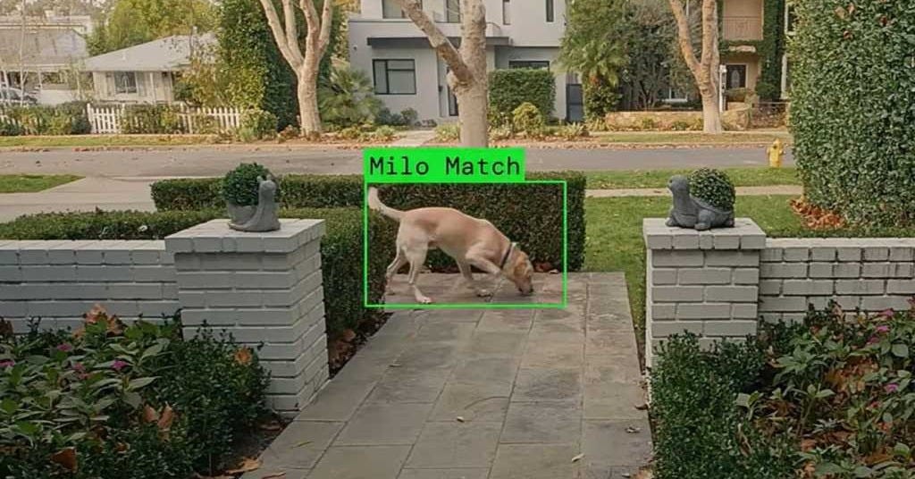 Why Ring's Super Bowl ad hits so sinister | PCWorld