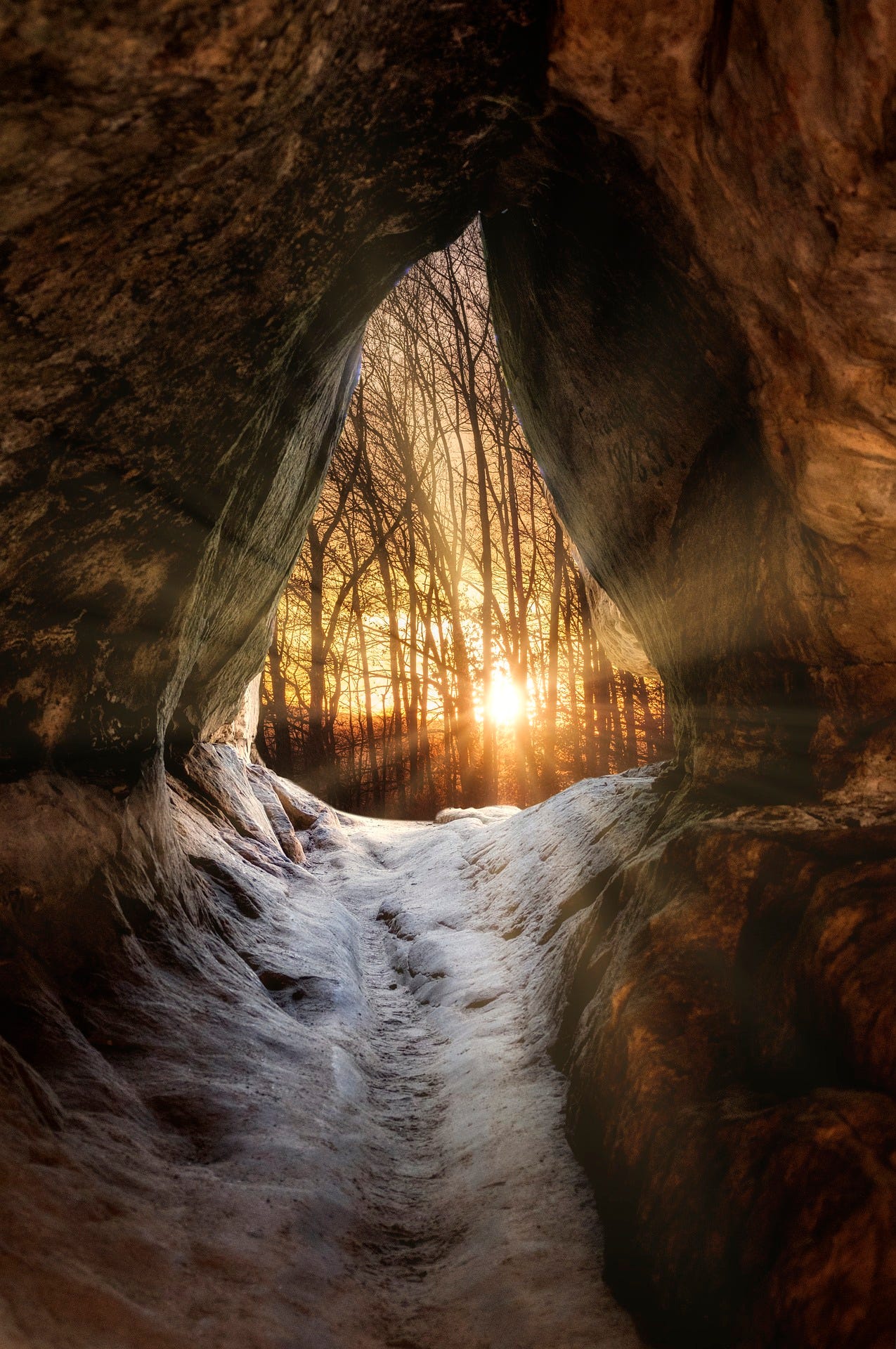 View looking out the opening of a cave to the sunrise, with the sun just cresting the horizon and shining through a copse of bare, leafless trees.
