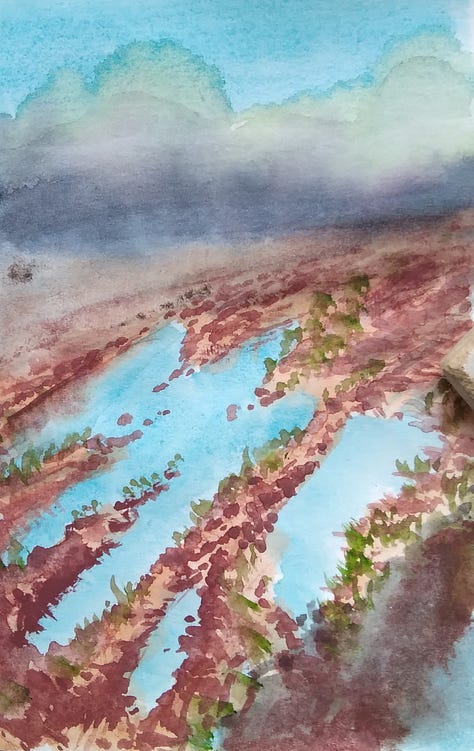 Drawings, watercolours, photos and written notes.