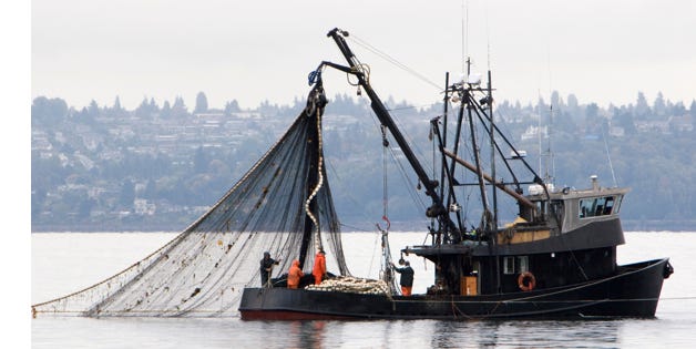 image 9.png image 9.png