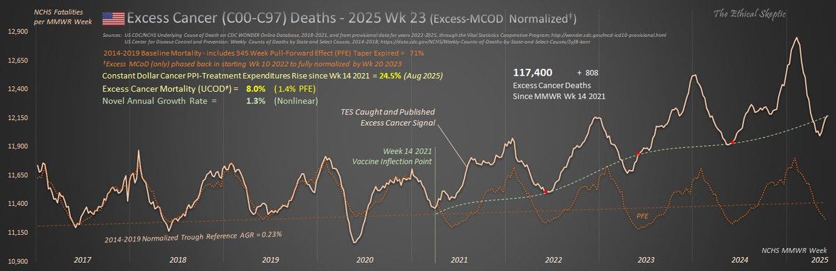 Four line graphs showing trends over time. The first graph displays excess cancer treatment costs in the US from 2014 to 2024, with a peak in 2021 and annotations for cancer incidence and vaccine rollout. The second graph shows real dollar trends in excess cancer treatment in the US from 2014 to 2024, with peaks and annotations for inflation and new diagnoses. The third graph depicts new cancer diagnoses per 100,000 population over 65 in England from 2019 to 2023, with a sharp rise in 2021 marked by mRNA vaccine rollout. The fourth graph shows cancer diagnoses in the Netherlands for ages 30-44 from 2010 to 2024, with trends and peaks in 2021. Four line graphs showing trends over time. The first graph displays excess cancer treatment costs in the US from 2014 to 2024, with a peak in 2021 and annotations for cancer incidence and vaccine rollout. The second graph shows real dollar trends in excess cancer treatment in the US from 2014 to 2024, with peaks and annotations for inflation and new diagnoses. The third graph depicts new cancer diagnoses per 100,000 population over 65 in England from 2019 to 2023, with a sharp rise in 2021 marked by mRNA vaccine rollout. The fourth graph shows cancer diagnoses in the Netherlands for ages 30-44 from 2010 to 2024, with trends and peaks in 2021.