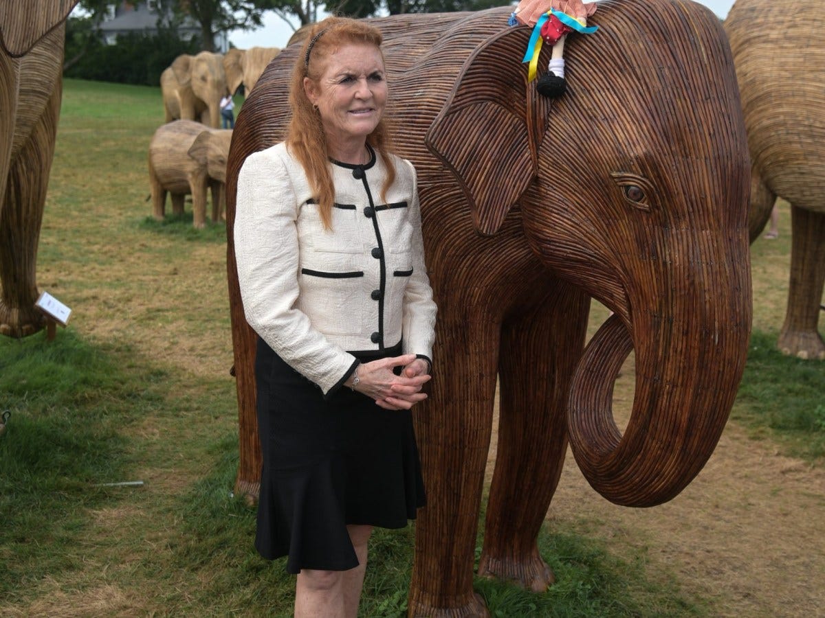 Sarah Ferguson, Duchess of York, visits Newport and The Great Elephant Migration
