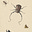 AnxietyFilledRaccoon's avatar