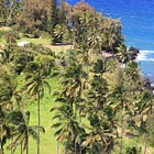 There’s music in the air on Hawaii