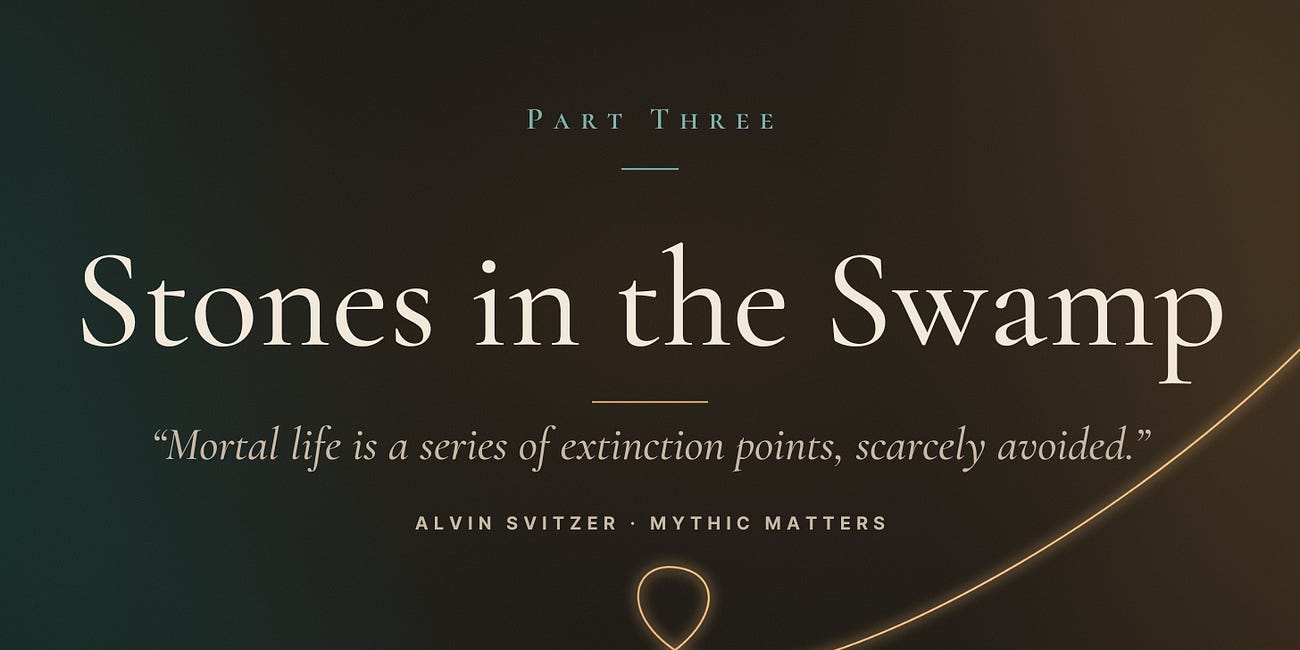 Stones in the Swamp - Part 3