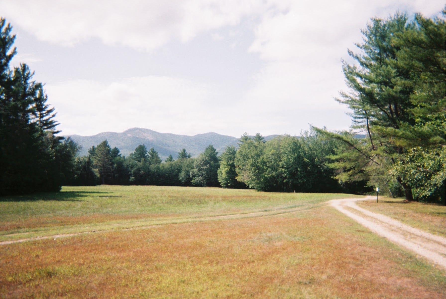 Thursday discussion post