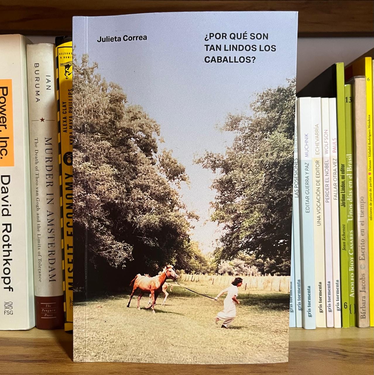 Portada de ¿Por qué son tan lindos los caballos?, de Julieta Correa (Montacerdos ediciones, 2025)